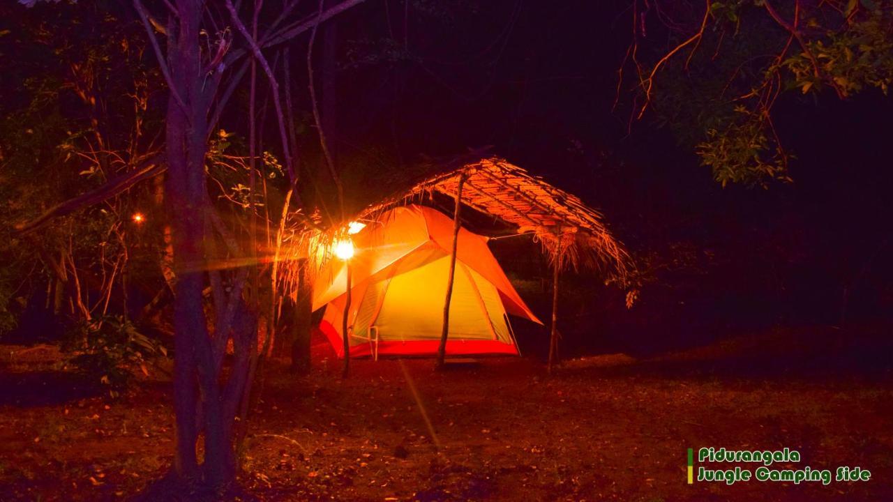 מלון סיגירייה Sigiri Jungle Camping מראה חיצוני תמונה