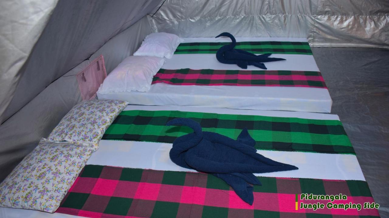 מלון סיגירייה Sigiri Jungle Camping מראה חיצוני תמונה